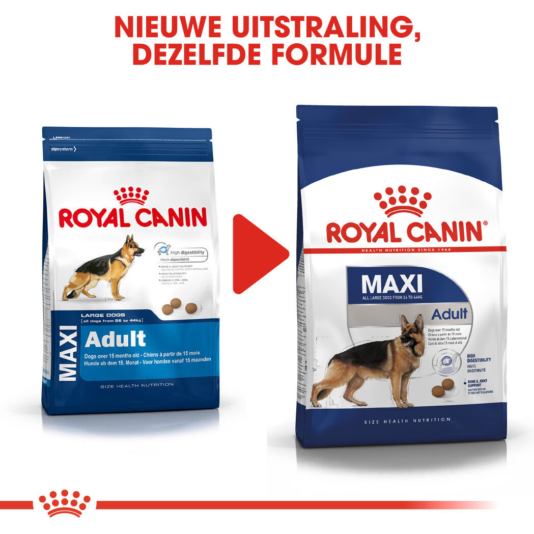 eenzaam zwavel Piepen Royal Canin SHN Maxi Adult 4 kg