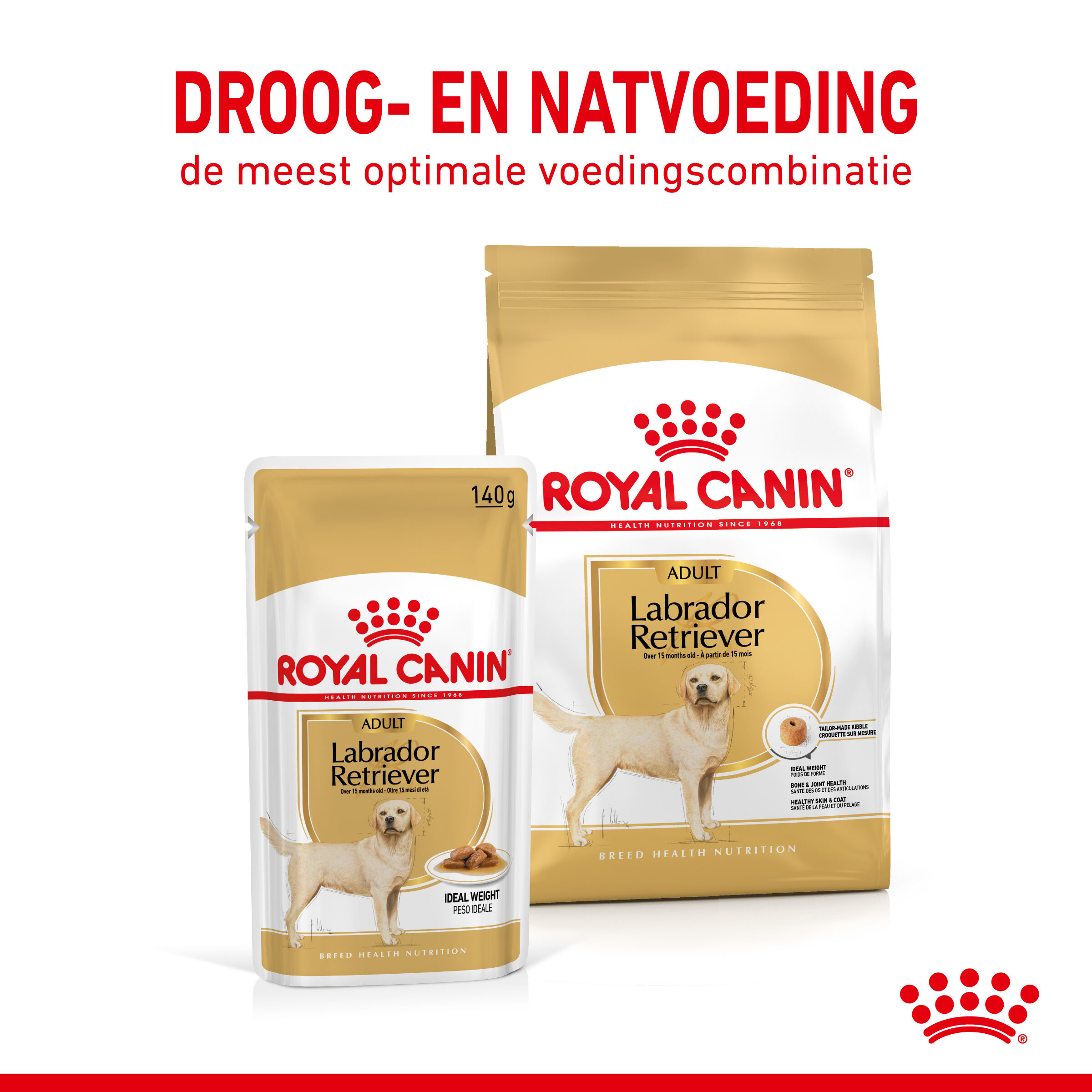 knoflook Articulatie Storing ROYAL CANINÂ® Labrador Retriever Adult Natvoer 10 x 140 gr